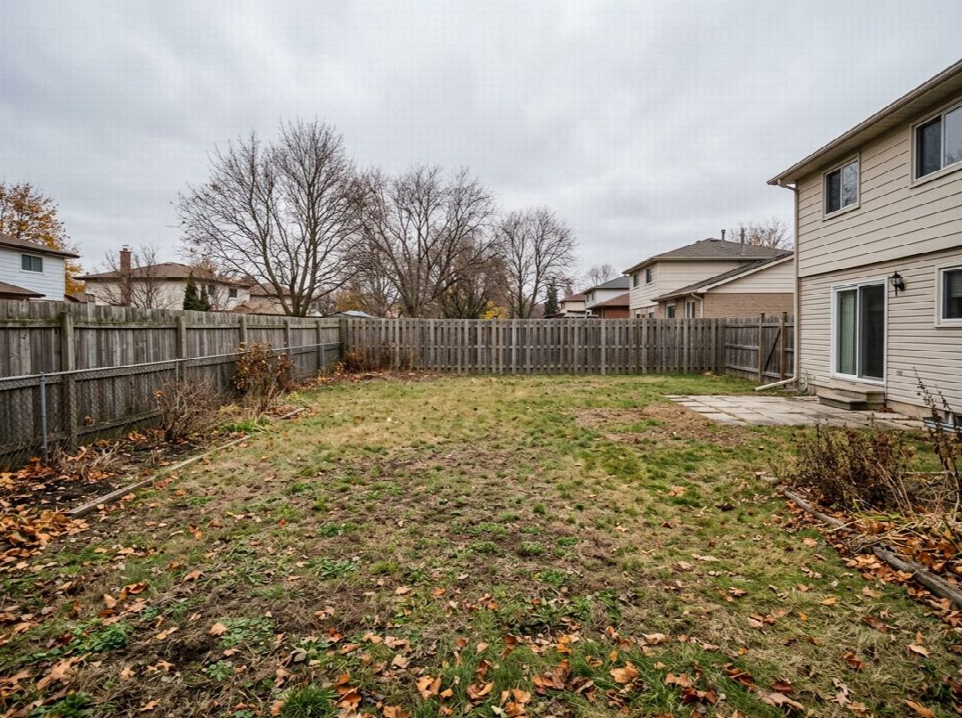 Before: the original yard photo