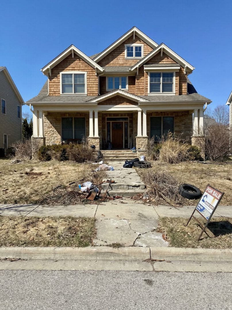 Before: the original yard photo